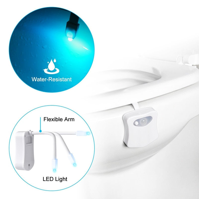 Smart Lighting for Your Bathroom ZK30 Toilet Seat Night Light