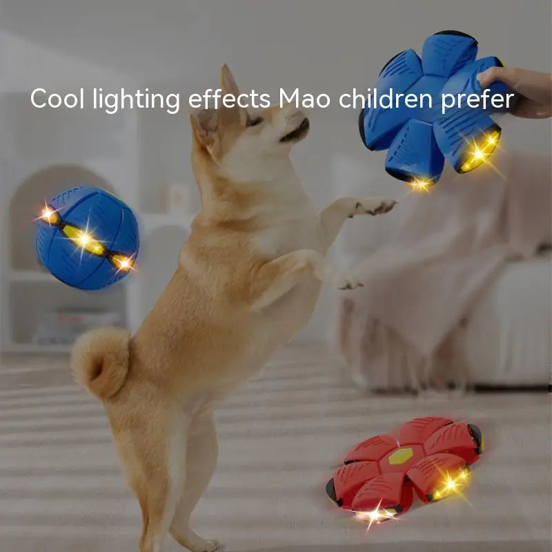 Flying UFO Flat Throw Disc Ball | Dog Toy