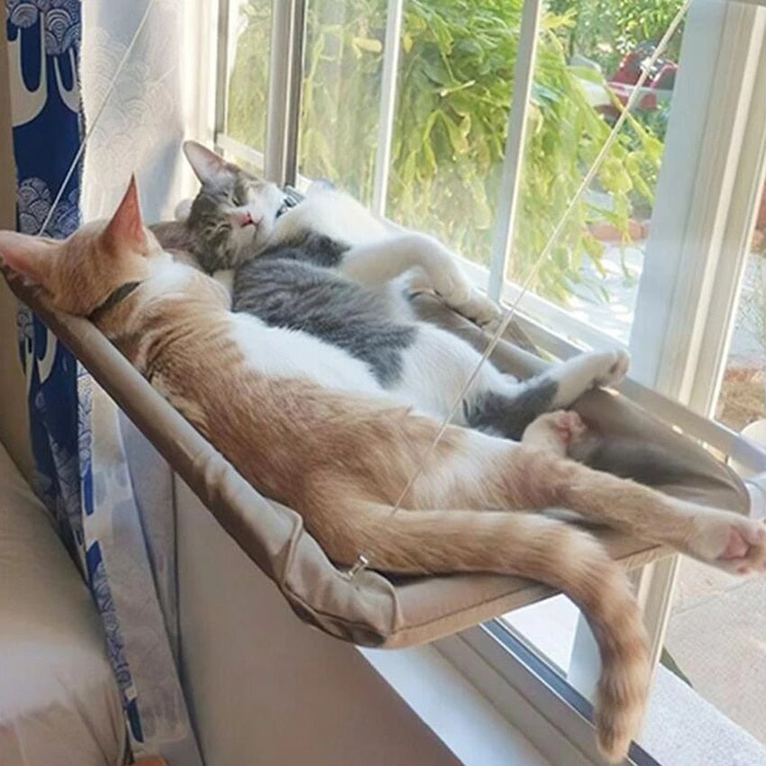 Hanging Cat Bed Hammock