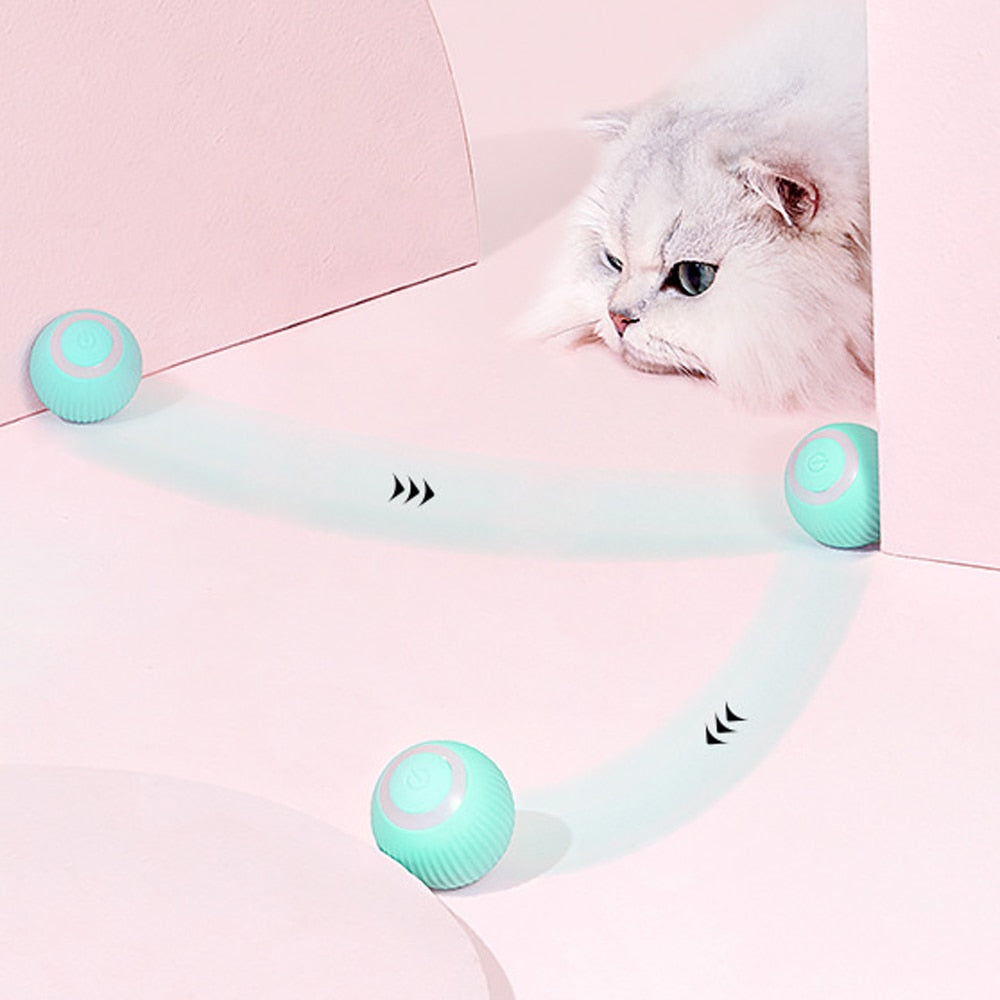 Smart Self- Rolling Cat Toys - Kitten's Playtime