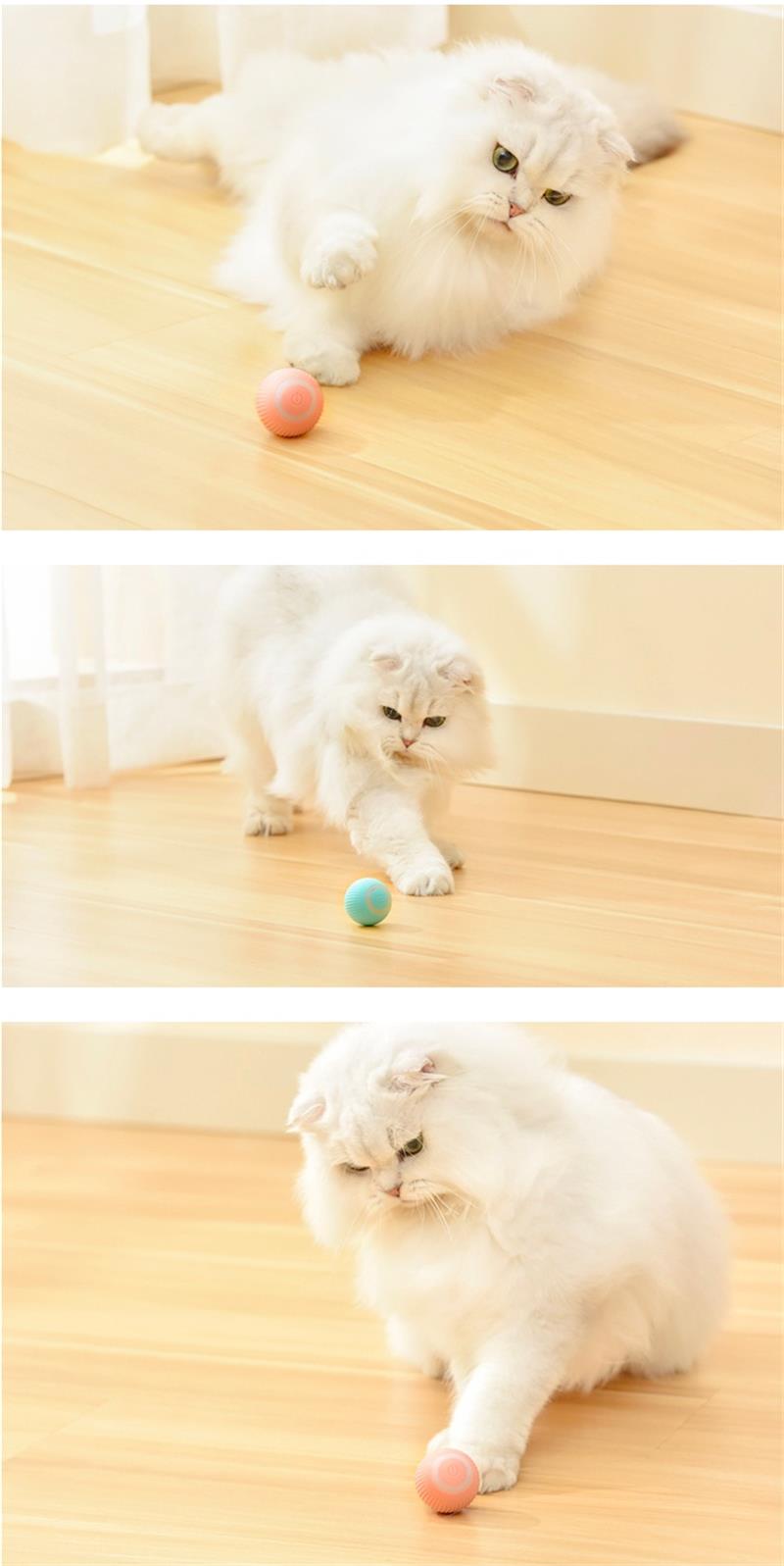 Smart Self- Rolling Cat Toys - Kitten's Playtime