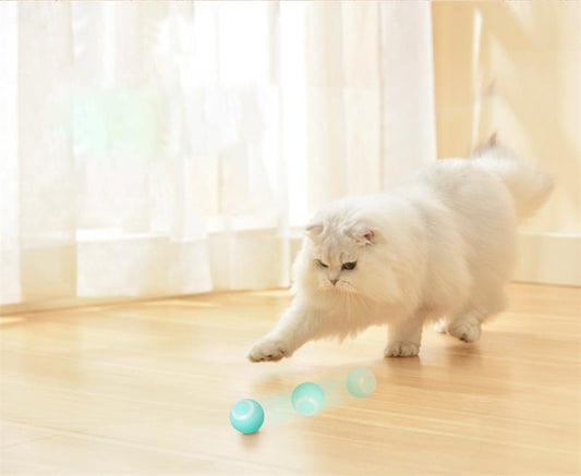 Smart Self- Rolling Cat Toys - Kitten's Playtime