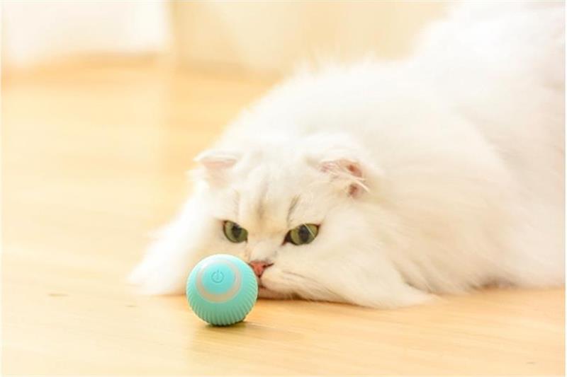 Smart Self- Rolling Cat Toys - Kitten's Playtime