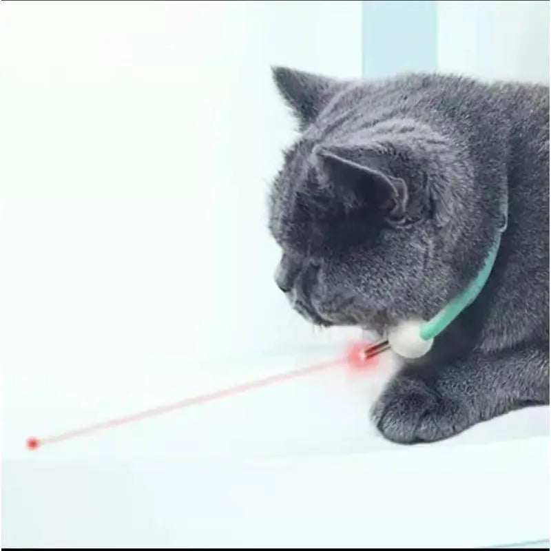 Laser Teasing Cat Collar Electric USB Charging