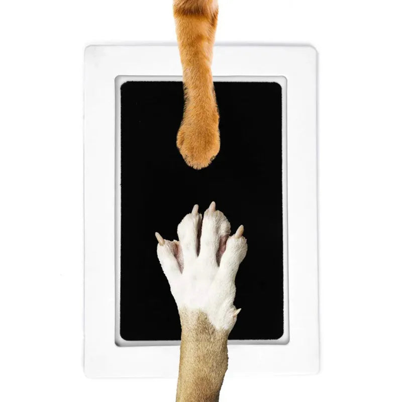 Pawprints & Baby Prints | Non-toxic DIY Kits for Cherished Moments