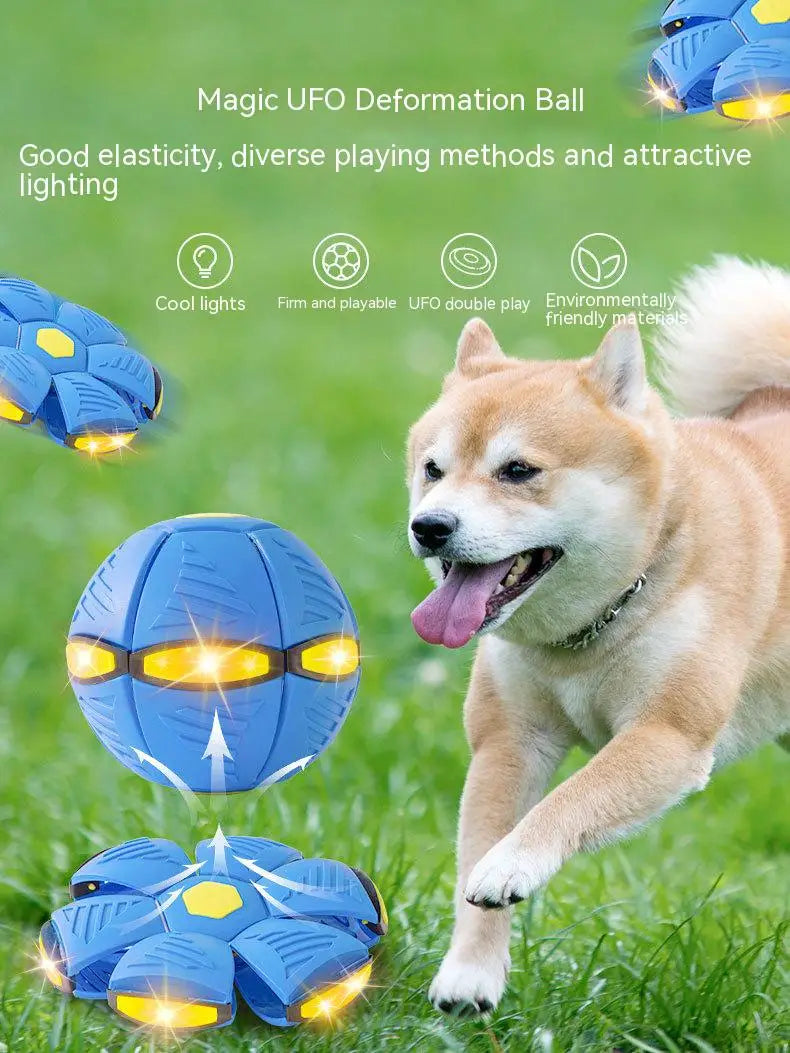 Flying UFO Flat Throw Disc Ball | Dog Toy
